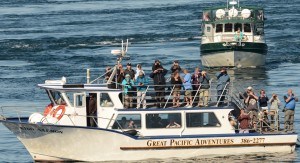 Crowded in front of the jetty