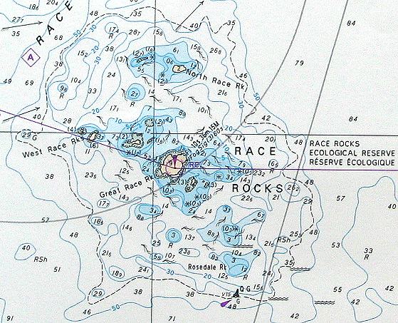 Race Rock Tide Chart