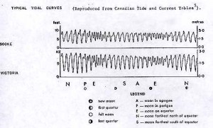 page12fig3