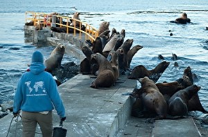 Disturbance for sea water sample