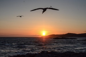 Sunset Soaring