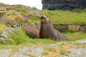 Time to Smell the Flowers... 