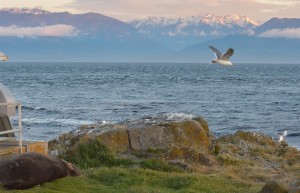 Sunset on Olympics