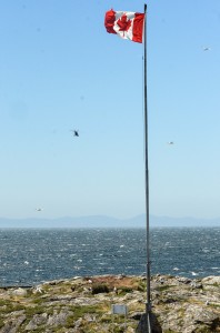 Coast Guard Helicopter passing by 