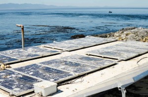 The solar panels within less than 24h of cleaning 