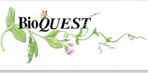 Bioquestlogo