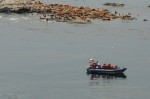 Whale watchers near Middle Rock