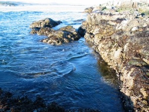 Tidepool 6 at high tide