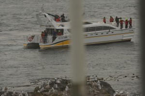 The last whale watching boat of the day taken through the front window. 