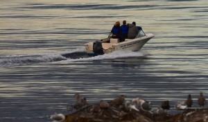 Pedder Bay Rental speeding in ER