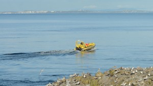 A whale watching boat passes through the ecological reserve.