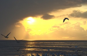 The sun was setting north of the Straits of Juan de Fuca when I arrived at the end of August. Now it sets in behind Neah Bay