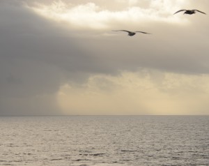 A series of squalls and thunder showers turned Race Rocks into an emerald isle today.