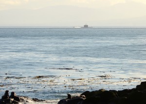 A submarine motors to the south of Race Rocks. Nov. 7, 2014. Photo by Nick Townley