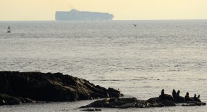 The 335m long cargo ship CMA CGM Bianca, registered in Malta, passes to the southeast of Race Rocks. Nov. 18, 2014. Photo by Nick Townley