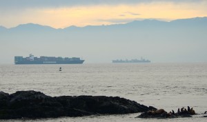 Two cargo ships pass near each other several kilometres southeast of Race Rocks. The Singaporean ship Evergreen Unific, 285m long, is using the outbound lane on its way to Tokyo. The Panamanian ship MSC Nerissa, 294 m, is using the inbound lane towards Vancouver. November 19, 2014. Photo by Nick Townley