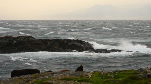 The wind gusted to 47 knots from the south west during the late afternoon, whipping up big waves. The buoy that marks Rosedale Reef can be seen getting tossed around in the background.