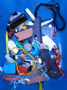 this is just the plastic garbage collected today from the debris,   