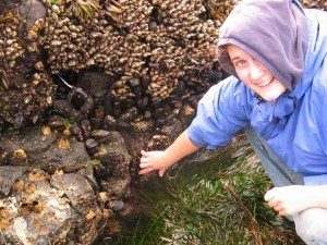 Student pointing to thatched barnacles . Note goose- neck barnacles on the rock above.