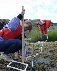 Catriona and Claudia demonstrate skill and teamwork using the waterlevel to measure vertical height ti the next sample.