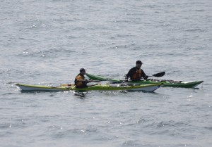 The two kayaks regroup after getting by the sea lions on South Islands.