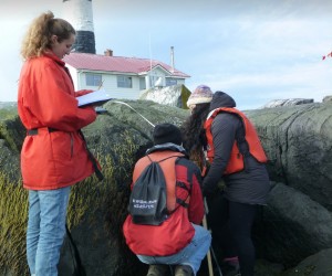 tella, Connor and Tamara discover the intricacies of inter-tidal life.