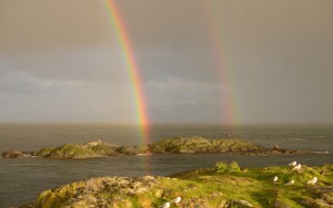 double rainbow