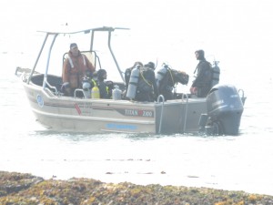 Divers enjoy the incredible biodiversity underwater at Race Rocks. The Ecological Reserve includes the creatures on the bottom, so it is a sustainable diver destination with responsible operators like Ogden Point Diving gate-keeping.