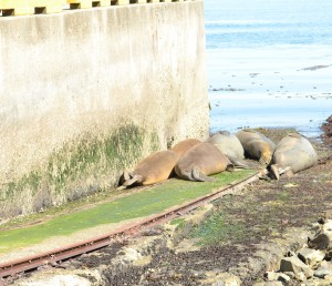 The tide is a long way out.