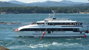 Orca Spirit runs upstream through Middle Channel.
