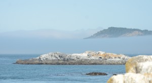 The fog rolling in past Church and Swordfish Islands (obscured).