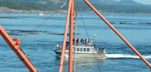 Vessels in Race Passage can be seen in the distance with Humpback Whale "big Momma"