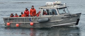 Pearson College students doing orientation week activity at Race Rocks Ecological Reserve.