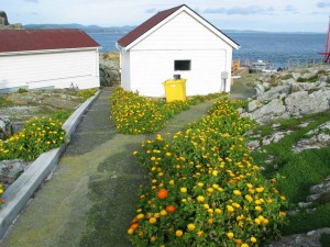 calendulapath