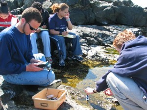 Tidepool 4