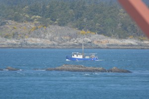 Cute fishing boat