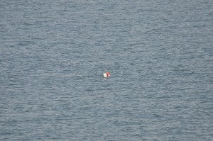 The Lost Buoys