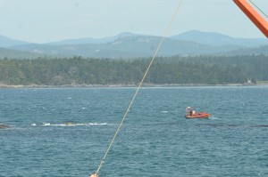 Eco-tour in choppy water